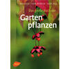 DAS GROSSE BUCH DER GARTENPFLANZEN - BRTELS/VON BERGER/BARLAGE