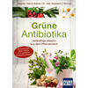 GRNE ANTIBIOTIKA - DR. MED. EBERHARD J. WORMER