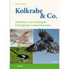 KOLKRABE & CO. (M)  - DIETER GLANDT