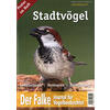 FALKE-SONDERHEFT STADTVGEL -