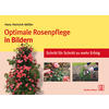 OPTIMALE ROSENPFLEGE IN BILDERN - HANS HEINRICH MLLER
