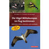 DIE VGEL MITTELEUROPAS IM FLUG BESTIMMEN - FIEDLER/ FNFSTCK/NACHTIGALL