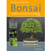 BONSAI - GESTALTEN MIT HEIMISCHEN GEHÖLZEN - BUSCH/STRECKER