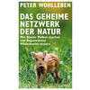 DAS GEHEIME NETZWERK DER NATUR - PETER WOHLLEBEN