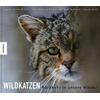 WILDKATZEN - ECHLE/STREIF/SUCHANT/VEITH