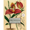 ORCHIDEEN - GARDINER/CRIBB