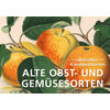 KUNSTPOSTKARTEN ALTE OBST- UND GEMSESORTEN