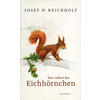 DAS LEBEN DER EICHHRNCHEN - JOSEF H. REICHHOLF