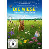 DVD-VIDEO DIE WIESE - JAN HAFT