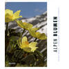 ALPEN BLUMEN - HUSLE/AMANN