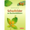 SCHADBILDER AN BUCHENBLTTERN - SCHMITZ/JUNG