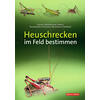 HEUSCHRECKEN IM FELD BESTIMMEN FISCHER/STEINLECHNER/ZEHM U.A.