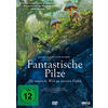 DVD FANTASTISCHE PILZE