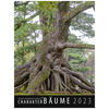 WANDKALENDER CHARAKTER-BUME 2023 - DDG