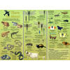 TIERE IM MOOR - BESTIMMUNGSHILFE Bild 2