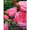 ROSEN - MICHAEL MARRIOTT