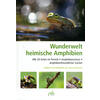 WUNDERWELT HEIMISCHE AMPHIBIEN