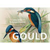 KUNSTPOSTKARTEN GOULD -