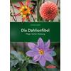 DIE DAHLIENFIBEL - CORNELIA GUTJAHR