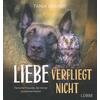 LIEBE VERFLIEGT NICHT - TANJA BRANDT