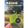 BUME AM BLATT ERKENNEN - MEIKE BOSCH