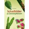 SCHADBILDER AN ZIMMERPFLANZEN - KLAUS MARGRAF
