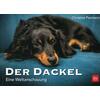 DER DACKEL - CHRISTINE PAXMANN