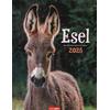 KALENDER ESEL 2025 -