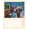 KALENDER ESEL 2025 - Bild 3