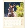KALENDER ESEL 2025 - Bild 4