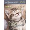 KALENDER EINE KATZE FR JEDEN TAG 2025 -