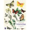 THORBECKES SCHMETTERLINGE- KALENDER 2025 -