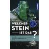 WELCHER STEIN IST DAS? - RUPERT HOCHLEITNER