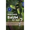 WELCHER BAUM IST DAS? - MARGOT UND ROLAND SPOHN