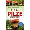 1 X 1 DES PILZESAMMELNS - PTZOLD/LAUX