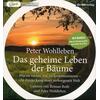 HRBUCH DAS GEHEIME LEBEN DER BUME - PETER WOHLLEBEN