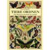 TIERE ORDNEN - DAVID BAINBRIDGE