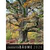 KALENDER CHARAKTER-BUME 2026 - DEUTSCHE DENDROLOG. GESELLS.
