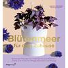 BLTENMEER FR DEIN ZUHAUSE - CAMILLERI/KAPLAN