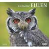 Auf diesem Bild sehen Sie das Produktbild 1 fr KALENDER GELIEBTE EULEN 2026 -