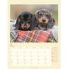 Auf diesem Bild sehen Sie das Produktbild 3 fr KALENDER DACKEL 2026 -