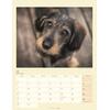 Auf diesem Bild sehen Sie das Produktbild 4 fr KALENDER DACKEL 2026 -