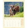 Auf diesem Bild sehen Sie das Produktbild 3 fr KALENDER ESEL 2026 - HUBERT/KLEIN