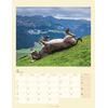 Auf diesem Bild sehen Sie das Produktbild fr 5 KALENDER ESEL 2026 - HUBERT/KLEIN