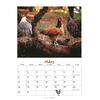 Auf diesem Bild sehen Sie das Produktbild 4 fr DER HHNERKALENDER 2026 - WOLF-DIETMAR UNTERWEGER