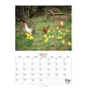 Auf diesem Bild sehen Sie das Produktbild fr 5 DER HHNERKALENDER 2026 - WOLF-DIETMAR UNTERWEGER