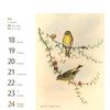 Auf diesem Bild sehen Sie das Produktbild 2 fr POSTKARTENKALENDER VGEL 2026 -