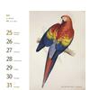 Auf diesem Bild sehen Sie das Produktbild 3 fr POSTKARTENKALENDER VGEL 2026 -