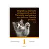 Auf diesem Bild sehen Sie das Produktbild 2 fr KALENDER EINE KATZE FR JEDEN TAG 2026 -