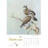 Auf diesem Bild sehen Sie das Produktbild 2 fr KALENDER VOGELIMPRESSIONEN 2026 - CHRISTOPHER SCHMIDT